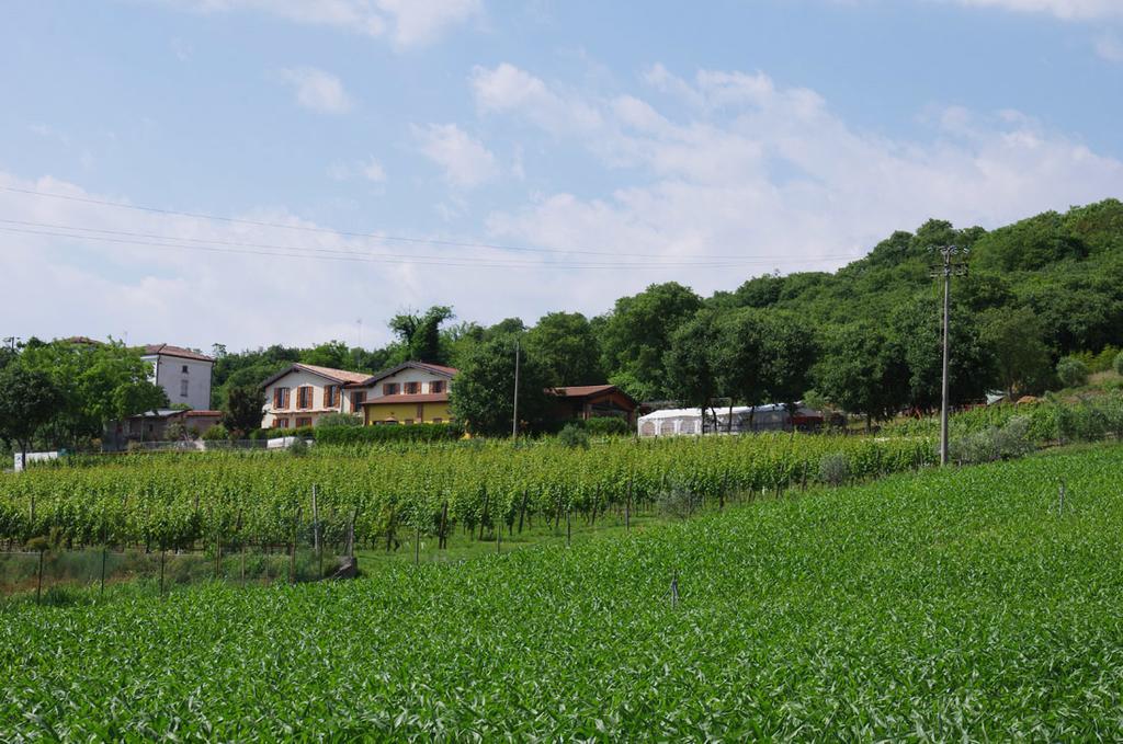 Agriturismo Casa Villi Solferino Zewnętrze zdjęcie